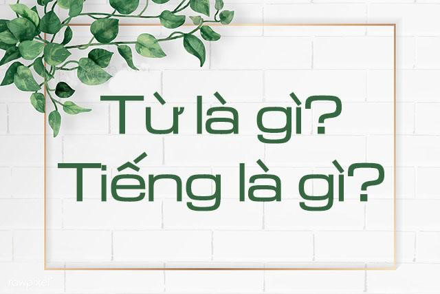 Định Nghĩa Tiếng là gì? Phân biệt từ và tiếng